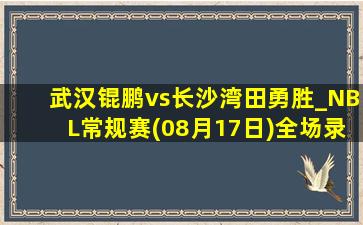 武汉锟鹏vs长沙湾田勇胜_NBL常规赛(08月17日)全场录像