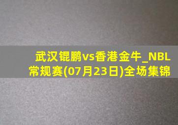 武汉锟鹏vs香港金牛_NBL常规赛(07月23日)全场集锦