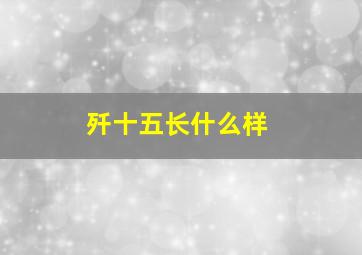 歼十五长什么样