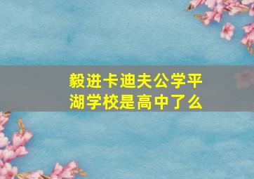 毅进卡迪夫公学平湖学校是高中了么