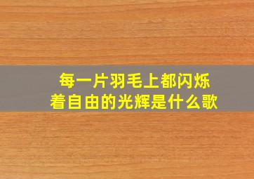 每一片羽毛上都闪烁着自由的光辉是什么歌