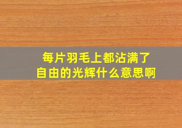 每片羽毛上都沾满了自由的光辉什么意思啊