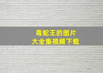 毒蛇王的图片大全集视频下载