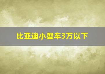 比亚迪小型车3万以下