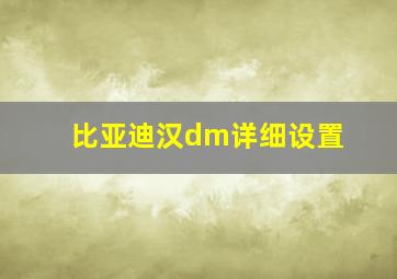 比亚迪汉dm详细设置