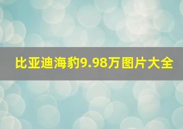 比亚迪海豹9.98万图片大全