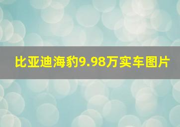 比亚迪海豹9.98万实车图片