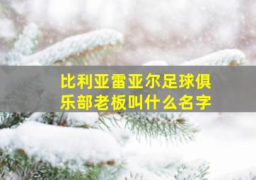 比利亚雷亚尔足球俱乐部老板叫什么名字