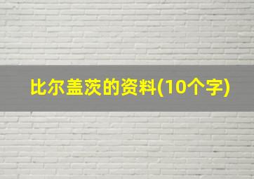 比尔盖茨的资料(10个字)