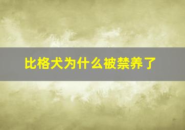 比格犬为什么被禁养了