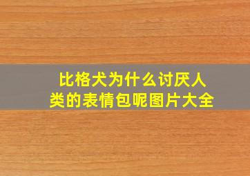 比格犬为什么讨厌人类的表情包呢图片大全