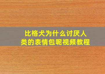 比格犬为什么讨厌人类的表情包呢视频教程