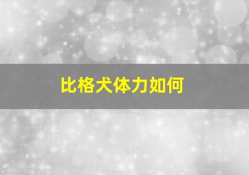 比格犬体力如何