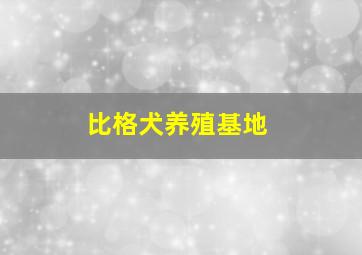 比格犬养殖基地