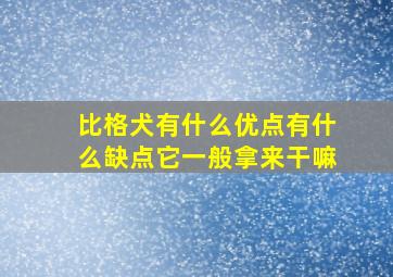 比格犬有什么优点有什么缺点它一般拿来干嘛