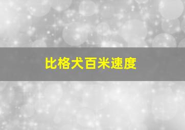 比格犬百米速度