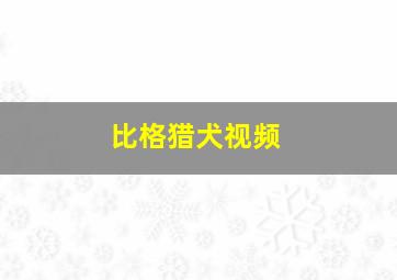 比格猎犬视频