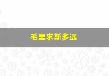 毛里求斯多远