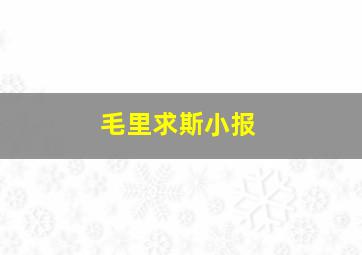 毛里求斯小报