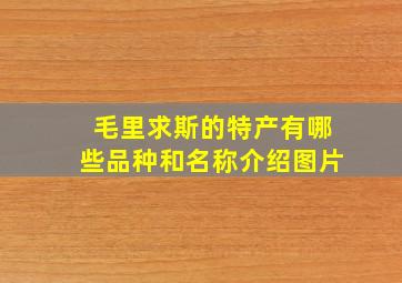 毛里求斯的特产有哪些品种和名称介绍图片