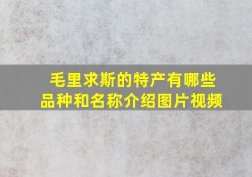 毛里求斯的特产有哪些品种和名称介绍图片视频