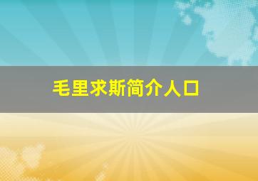 毛里求斯简介人口