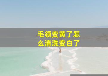 毛领变黄了怎么清洗变白了