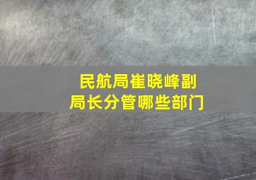 民航局崔晓峰副局长分管哪些部门