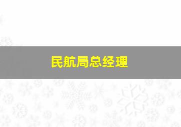 民航局总经理