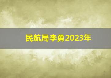 民航局李勇2023年