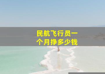 民航飞行员一个月挣多少钱