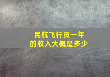 民航飞行员一年的收入大概是多少