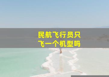 民航飞行员只飞一个机型吗