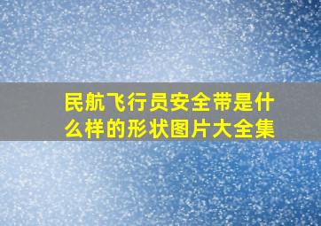 民航飞行员安全带是什么样的形状图片大全集