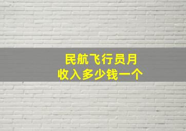 民航飞行员月收入多少钱一个