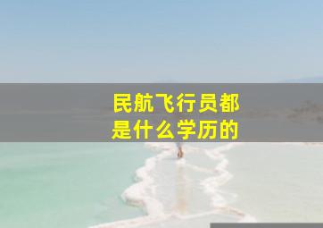 民航飞行员都是什么学历的