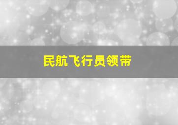 民航飞行员领带