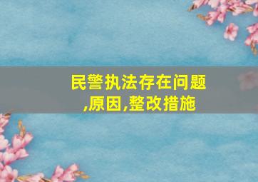 民警执法存在问题,原因,整改措施