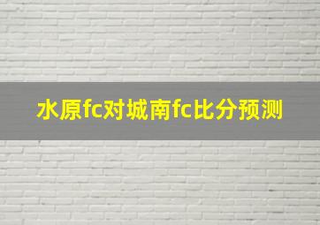 水原fc对城南fc比分预测