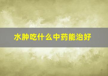 水肿吃什么中药能治好