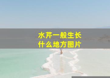 水芹一般生长什么地方图片