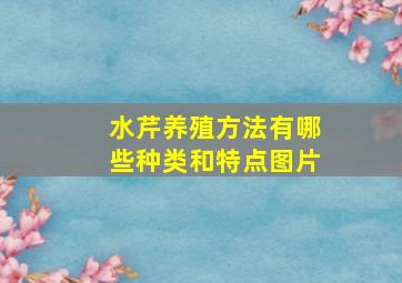 水芹养殖方法有哪些种类和特点图片