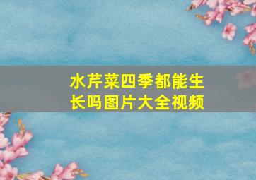 水芹菜四季都能生长吗图片大全视频