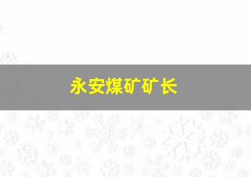 永安煤矿矿长