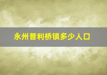 永州普利桥镇多少人口