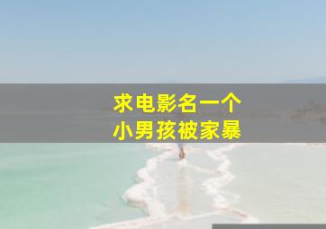 求电影名一个小男孩被家暴