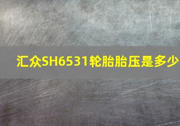 汇众SH6531轮胎胎压是多少