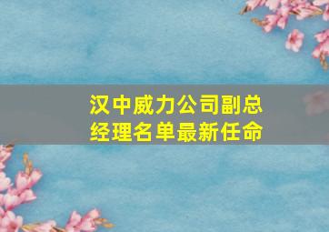 汉中威力公司副总经理名单最新任命