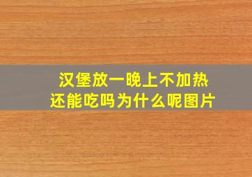 汉堡放一晚上不加热还能吃吗为什么呢图片