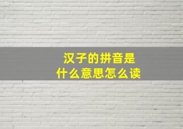 汉子的拼音是什么意思怎么读